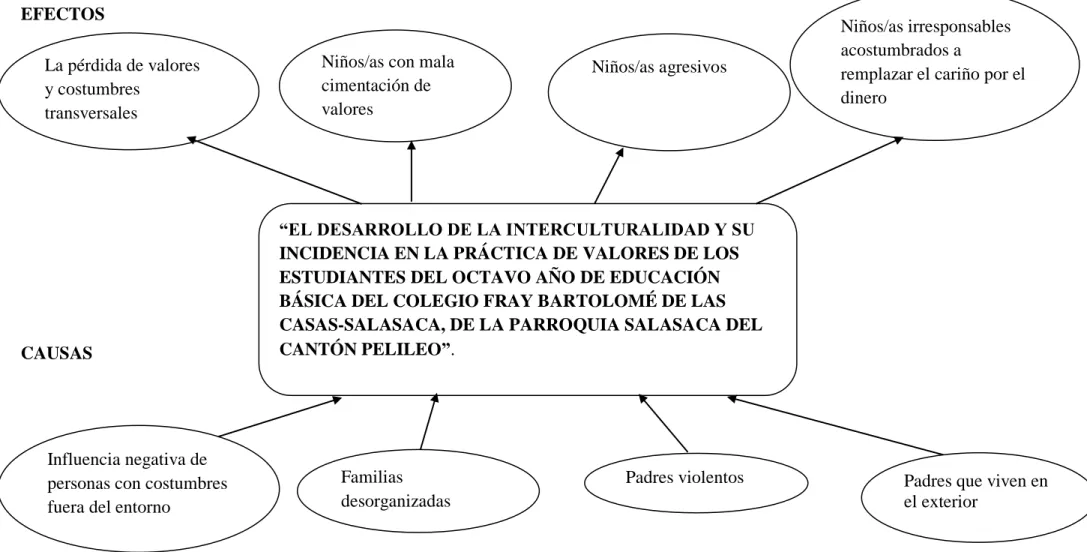 GRÁFICO N.-01 