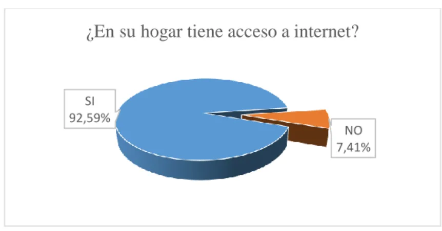 Figura 5: accesos a internet. 