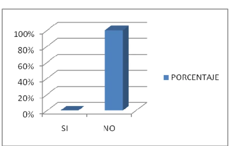 GRÁFICO No. 10 