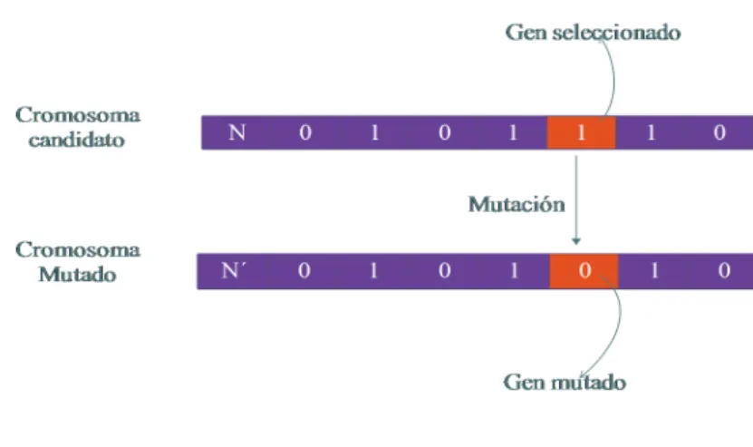 Figura 2.4: Mutaci´on