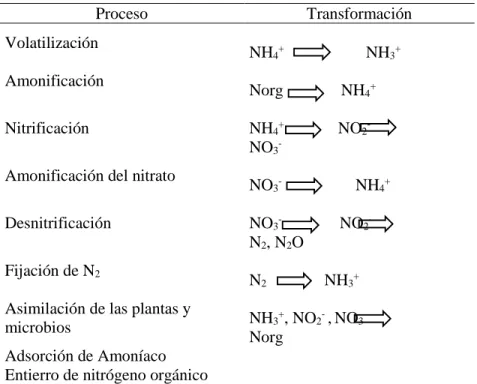 Tabla 2. Transformación de nitrógeno en los Humedales de Tratamiento (CWs) 