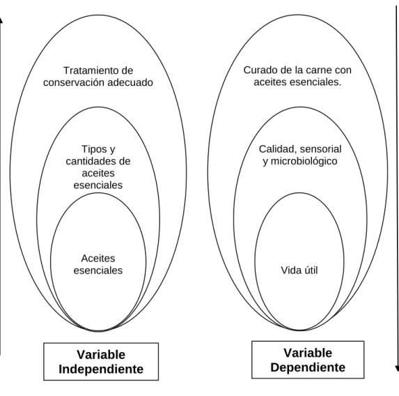 Gráfico N° 2: Superordinación Conceptual 