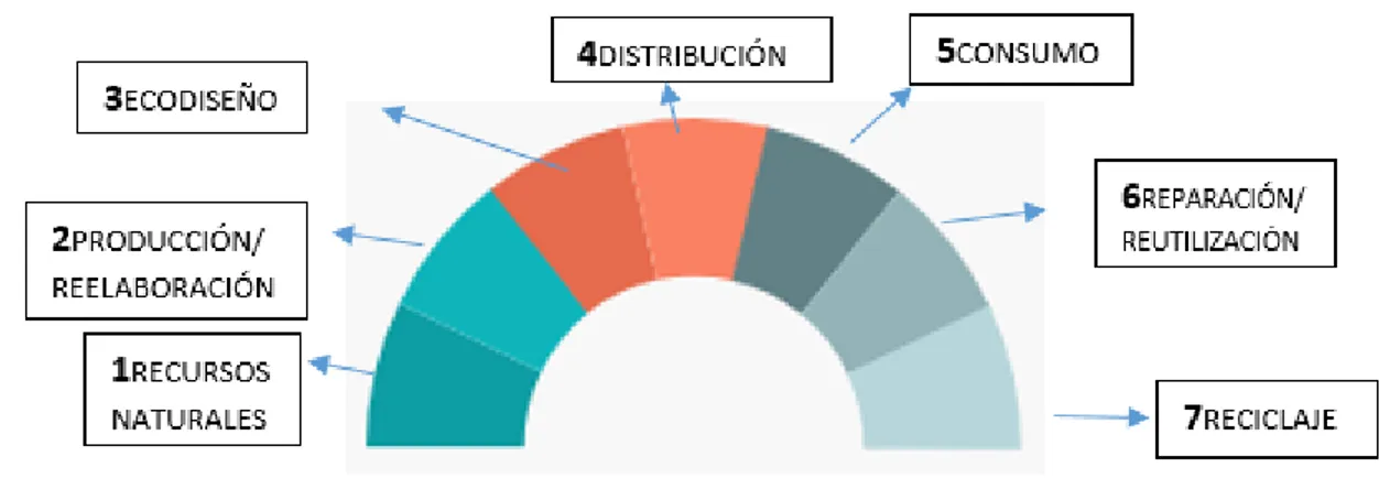 Gráfico 2 : Proceso de la economía circular 