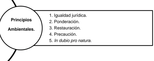 Gráfico 1 Fuente: Constitución del Ecuador de 2008; Código Orgánico del Ambiente. Elaboración: Propia