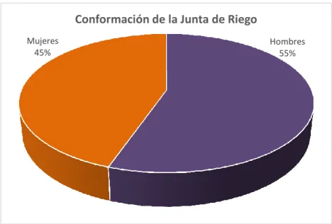 Figura  1: Conformación por sexo-género de socias y socios de la Junta de Riego de  Ricaurte 