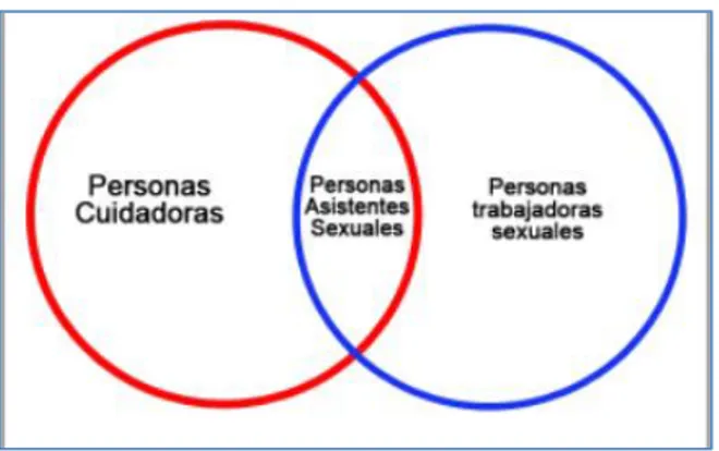 Gráfico 7: Fases de la asistencia sexual 