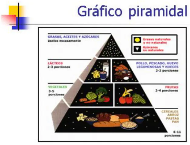 Gráfico 7 