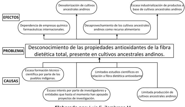 Gráfico 1. Árbol de Problemas. 