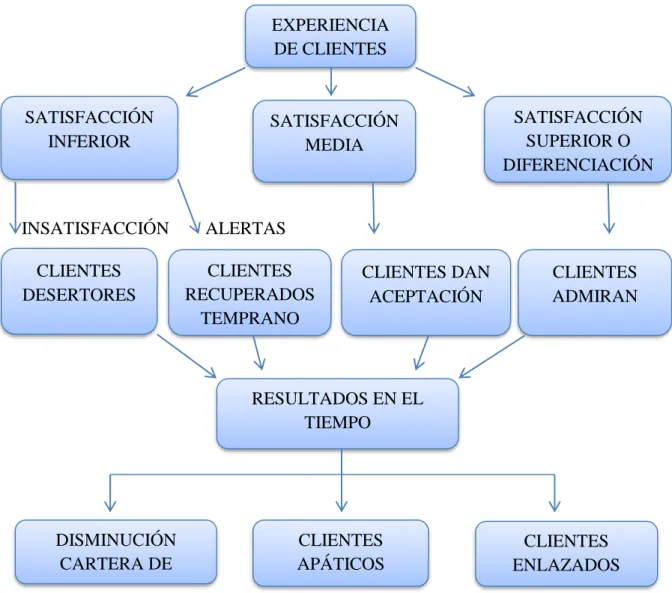 Gráfico Nº 7. Experiencia del cliente