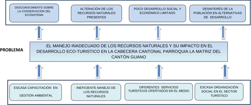 Gráfico Nº 1: Árbol de problemas 