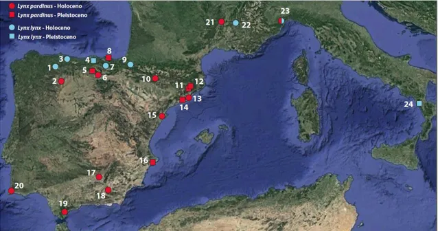 Figura 15. Mapa de distribución de los yacimientos con fósiles de lince boreal (azul) e ibérico  (rojo) incluidos en este trabajo