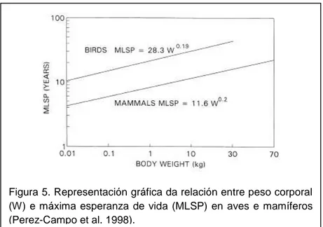 Figura 5. Representación gráfica da relación entre peso corporal  (W)  e máxima  esperanza  de  vida  (MLSP)  en  aves  e  mamíferos  (Perez-Campo et al