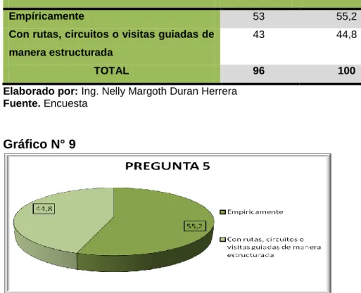 Gráfico N° 9 