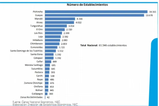 Gráfico 11: Número de establecimientos 