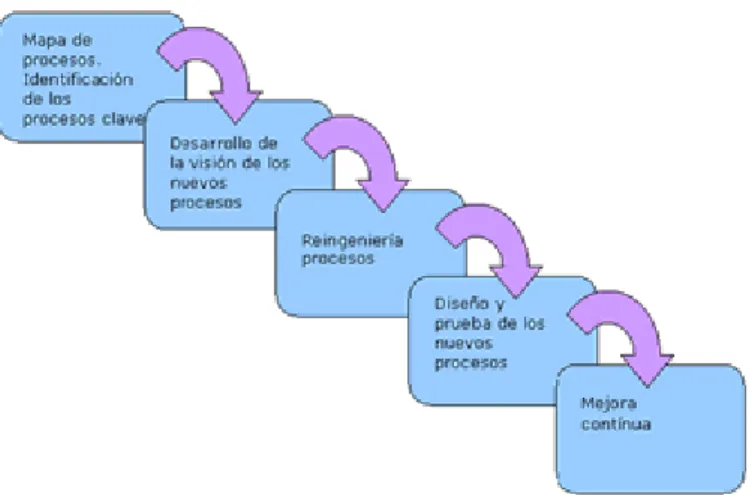 Gráfico No. 5 Proceso de reingeniería 