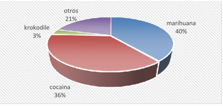 Gráfico N° 1 