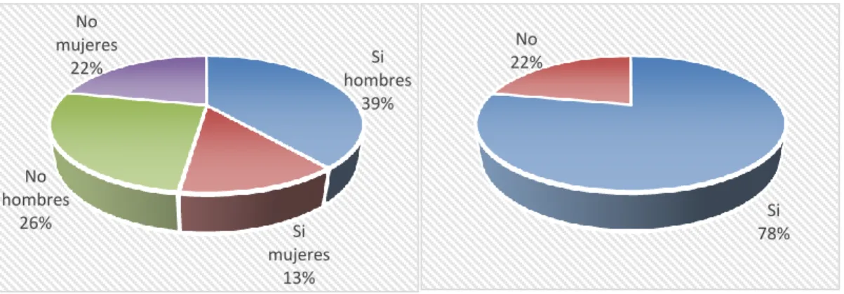 Gráfico  N° 4 