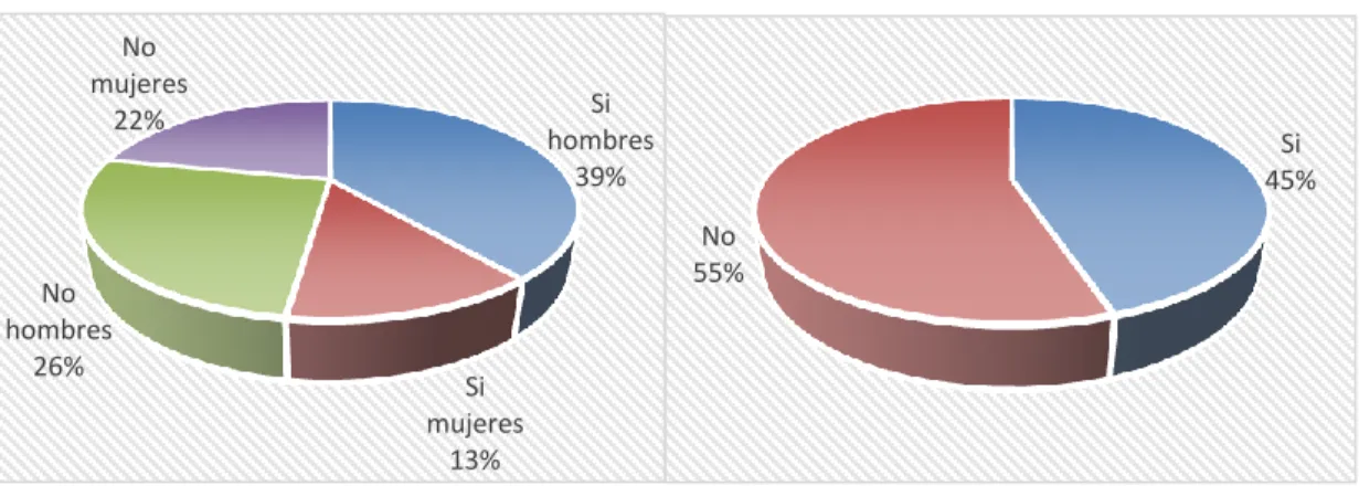 Gráfico N° 6 