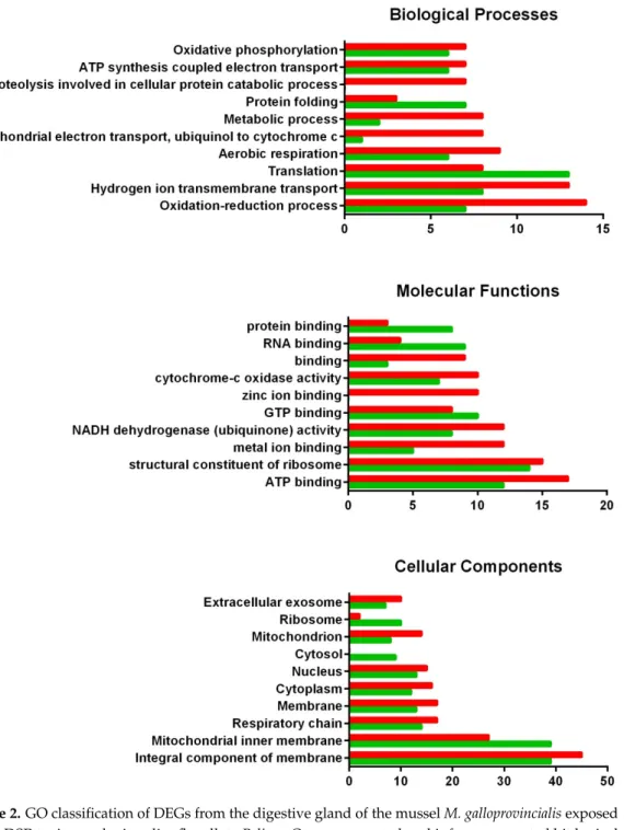 Figure 2. GO classification of DEGs from the digestive gland of the mussel M. galloprovincialis exposed  to the DSP toxin-producing dinoflagellate P