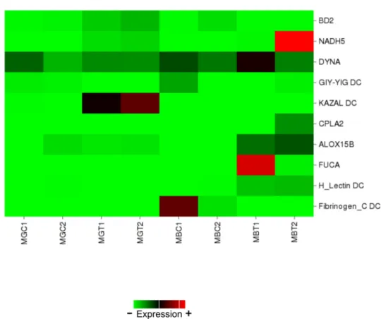 Figure 4. Heatmap showing expression levels of a set of annotated genes involved in the early  response to DSP toxins in mussels and selected for qPCR validation
