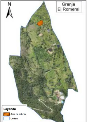 Figura 1. Localización del área de estudio.  