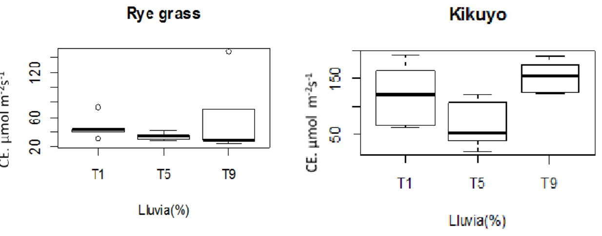 Figura 11. Variación de la conductancia estomática en el rye grass (a) y kikuyo (b), factor lluvia, (I muestreo -  segundo corte)