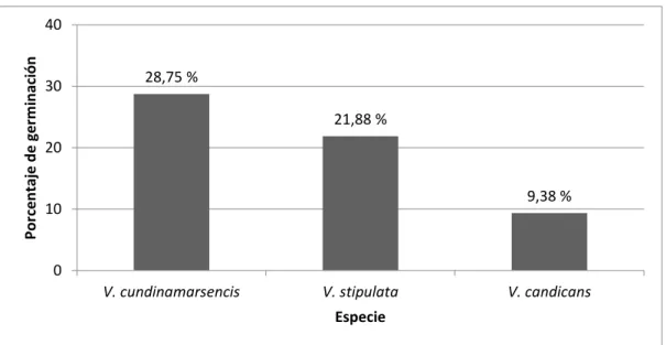 Figura 5. Porcentaje de germinación de cada especie de Vasconcellea.  