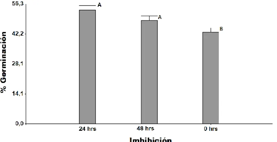 Figura 14. Porcentaje de germinación de Oreocallis grandiflora evaluado durante cuatro  semanas en tres periodos de imbibición