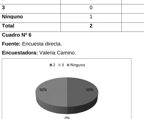Gráfico Nº 6 