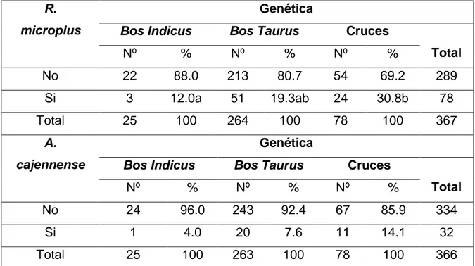 Tabla  3:  Relación  entre  la  presencia  de  R.  microplus  y  A.  cajennense  y  la  genética del animal 