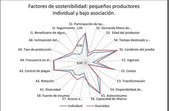 Figura 2.- Factores de Sostenibilidad de los procesos productivos de los  pequeños productores individual y bajo asociación