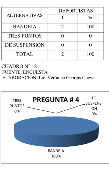 Gráfico N° 18 