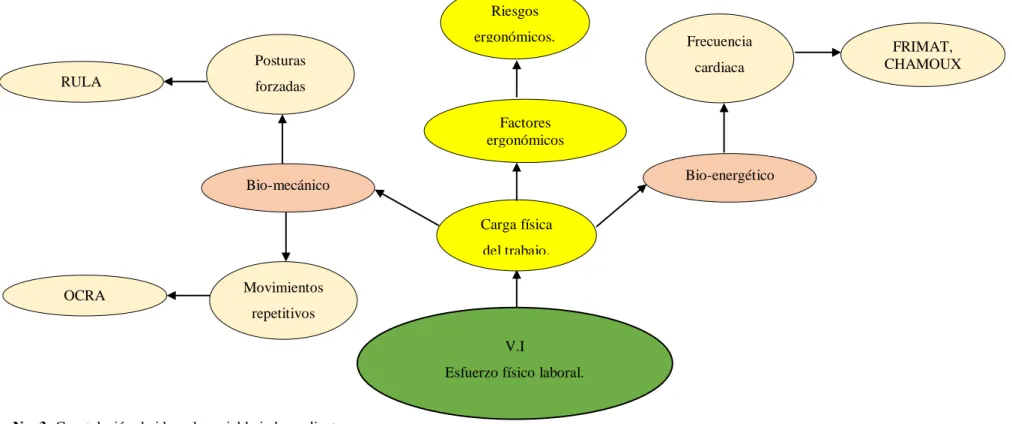 Gráfico No. 3: Constelación de ideas de variable independiente  Elaborado por: Investigadora 