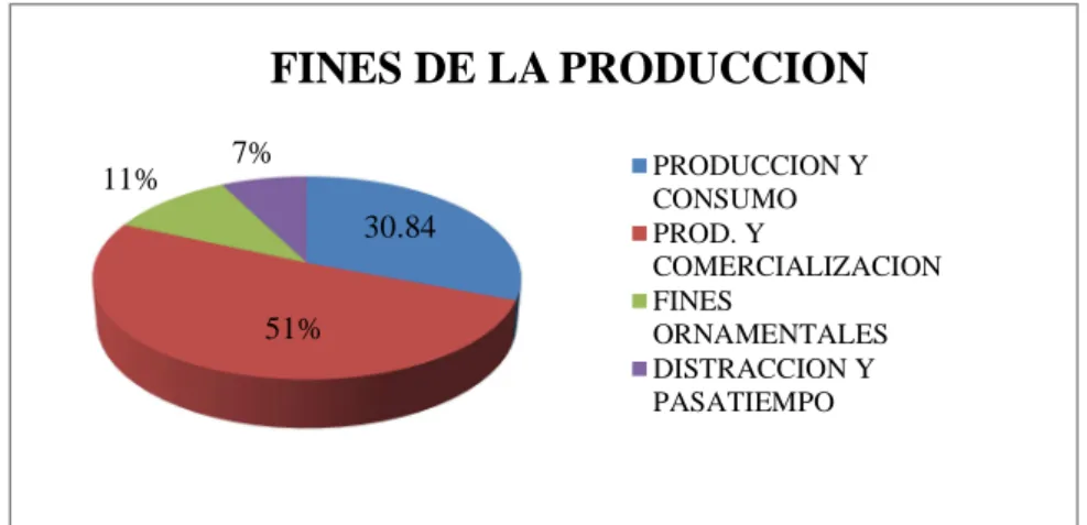 FIG. 1: FINES DE LA PRODUCCIÓN 