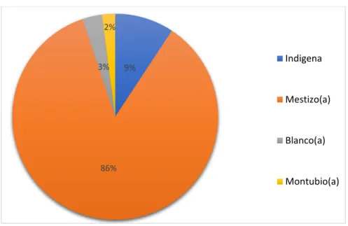 Gráfico 4: Población de Rivera Centro, según etnia 