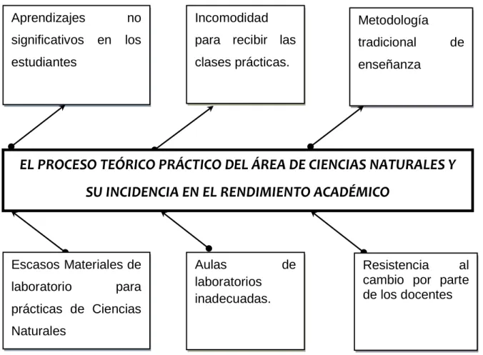 Gráfico 1: Árbol de Problemas 