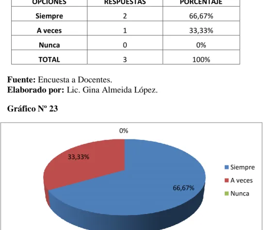 Gráfico Nº 23 