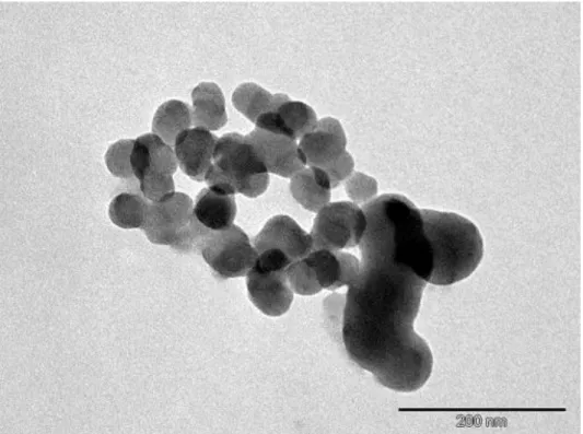 Figure 6. A typical TEM image obtained for [Gd 2 (L 3 )]. Spherical particles with an average diameter of 41 nm   are observed together with fewer nonspherical particles with larger size