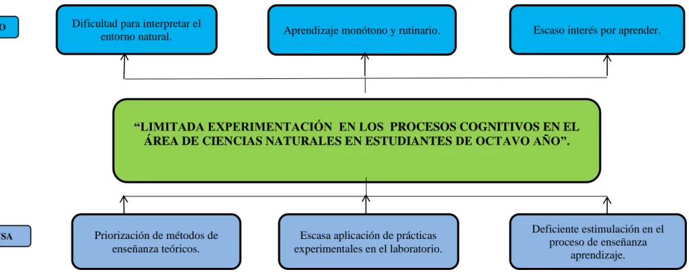 Gráfico N° 1. Árbol de Problemas. 