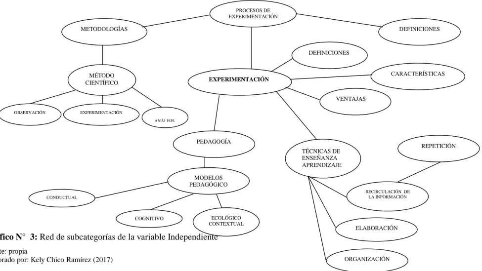 Gráfico N°  3: Red de subcategorías de la variable Independiente 