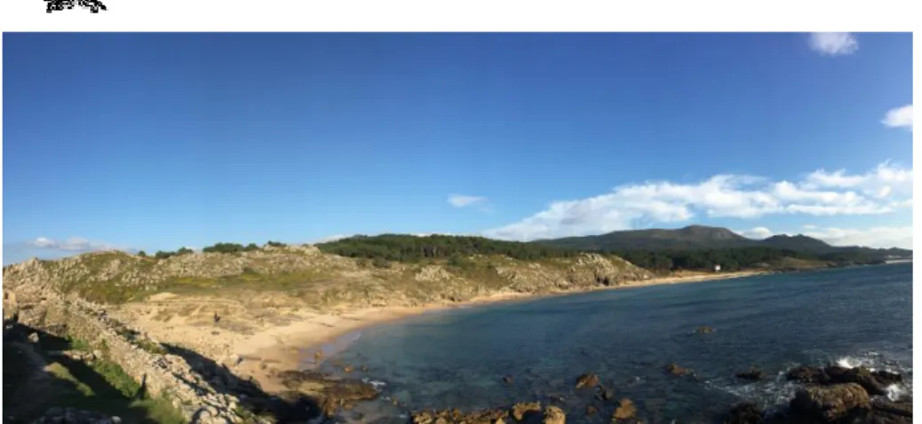 Figura 3: Playa de Arealonga