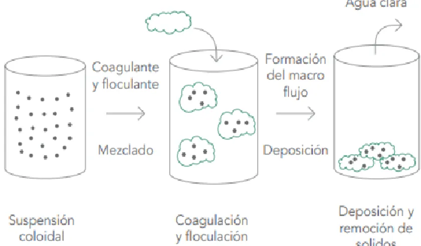 Ilustración 1. Coagulación, floculación y deposición de una suspensión coloidal tras agregar  coagulante