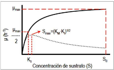 Ilustración 9. Velocidad de crecimiento celular y concentración de sustrato para la  determinación de las constantes de crecimiento para la ecuación de Monod 