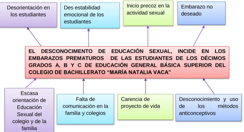 Gráfico N° 1 Árbol de problemas 