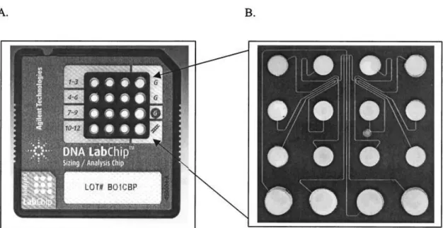 Figura 5. Ejemplo de chip del Agilent 2100 Bioanalyzer. (A) Vista en planta de un chip donde se  aprecian los 12 pocillos para cargar muestras y los 4 correspondientes al marcador de tamaño