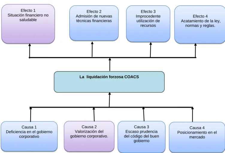 Gráfico 1Relación Causa Efecto 