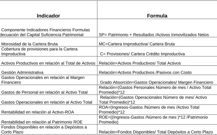 Cuadro 17 Indicadores Método CAMEL 