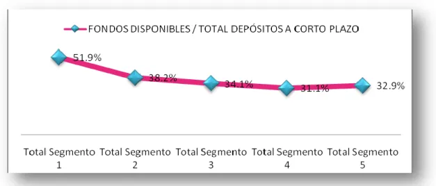 Gráfico 10  La Liquidez por Segmentos 