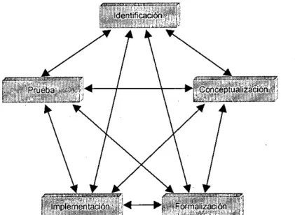 Figura 3.6. Ciclo de vida de los sistemas expertos según Mayrhauser (1990).