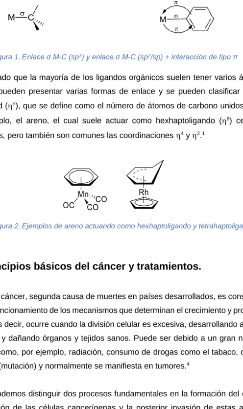 Figura 1. Enlace σ M-C (sp 3 ) y enlace σ M-C (sp 2 /sp) + interacción de tipo π